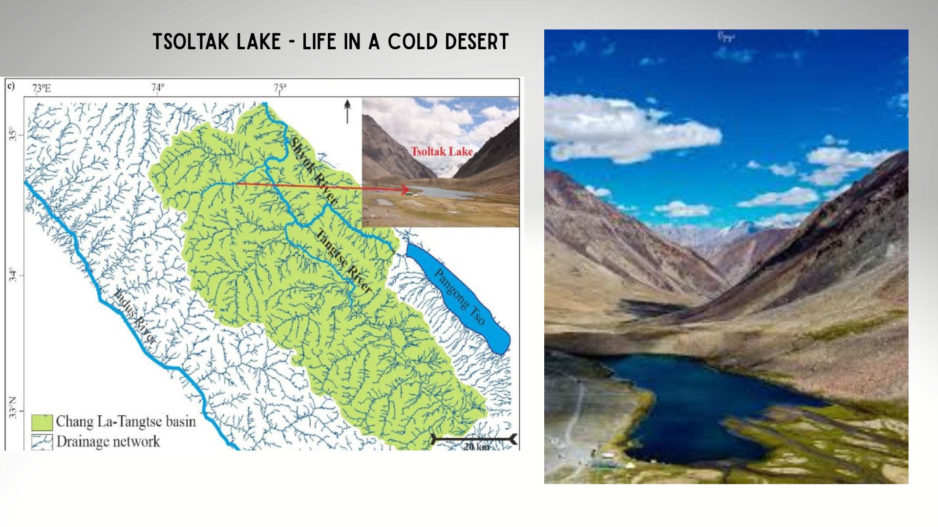 Analysing microscopic life in glacial lake muds points to the changing ecosystem of Ladakh's Tsoltak Glacial Lake